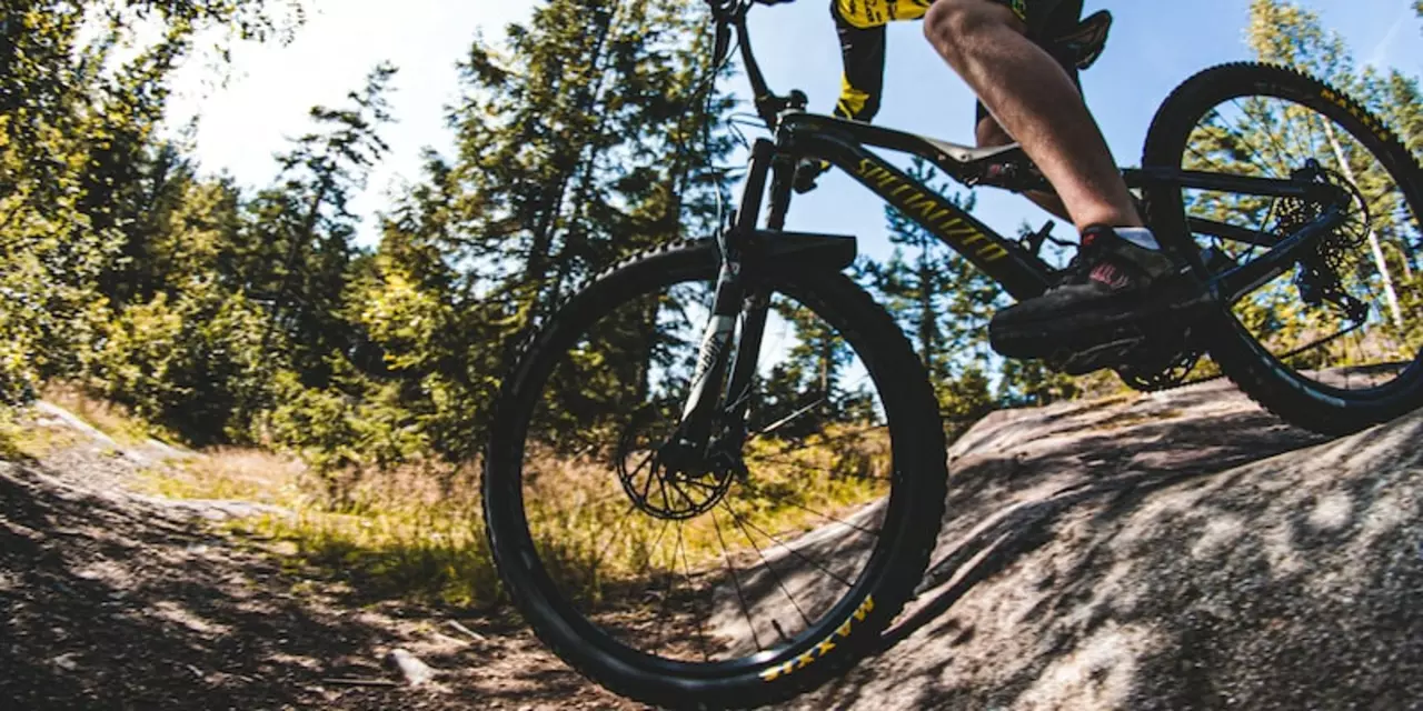 Are mountain bikes more durable than road bikes?